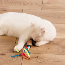 Pet Hobby Игрушка для кошек Цилиндр с натуральной норкой и кошачьей мятой, 25 см