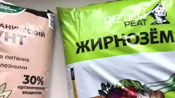 Как выбрать землю для рассады, чтобы не остаться без урожая. Тестирую разные грунты