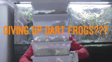 MY NEW PET HOBBY!